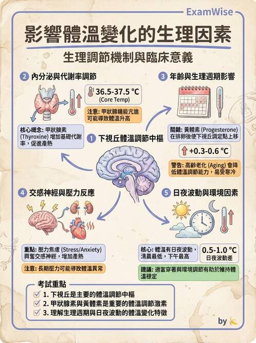 護理師 - 體溫與呼吸評估 - AI 圖文解析預覽