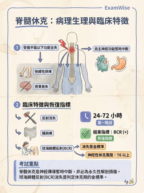 護理師 - 脊髓損傷與神經肌肉疾病 - AI 圖文解析預覽