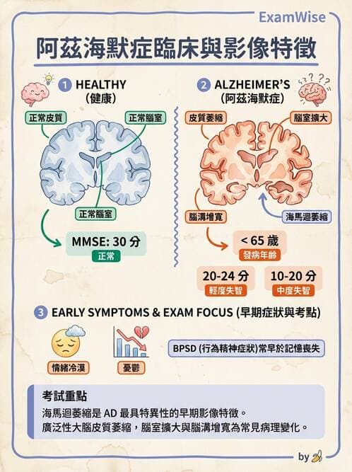 護理師 - 神經退化疾病與癲癇 - AI 圖文解析預覽