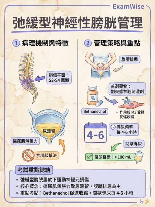 護理師 - 脊髓損傷與神經肌肉疾病 - AI 圖文解析預覽