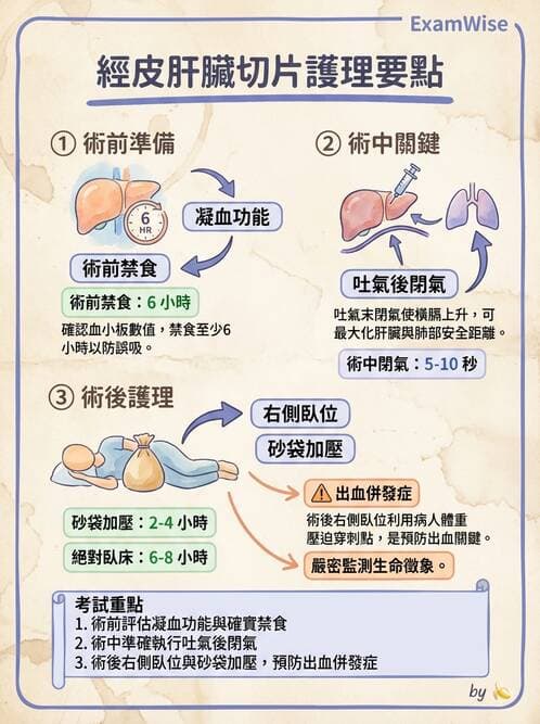 護理師 - 肝膽胰疾病 - AI 圖文解析預覽