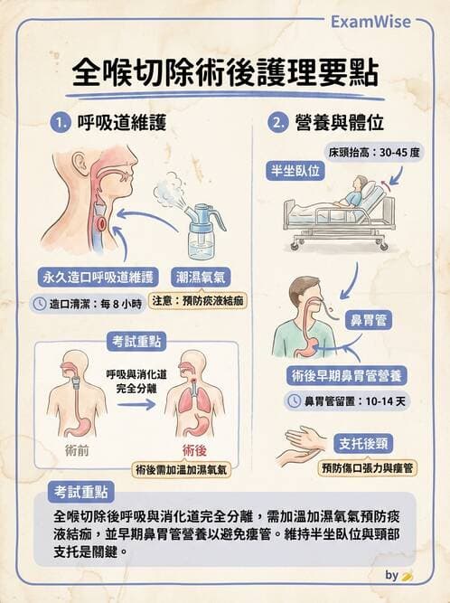 護理師 - 耳鼻喉疾病 - AI 圖文解析預覽