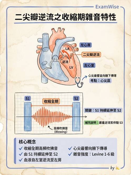 護理師 - 心臟瓣膜病與發炎性心臟病 - AI 圖文解析預覽