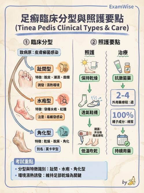 護理師 - 皮膚疾病與傷口護理 - AI 圖文解析預覽