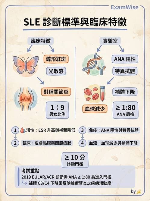 護理師 - 自體免疫疾病與過敏反應 - AI 圖文解析預覽