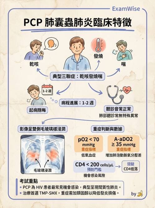 護理師 - 器官移植與AIDS - AI 圖文解析預覽