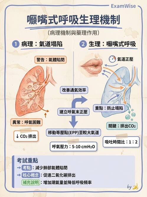 護理師 - COPD與氣喘 - AI 圖文解析預覽