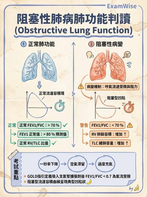護理師 - COPD與氣喘 - AI 圖文解析預覽