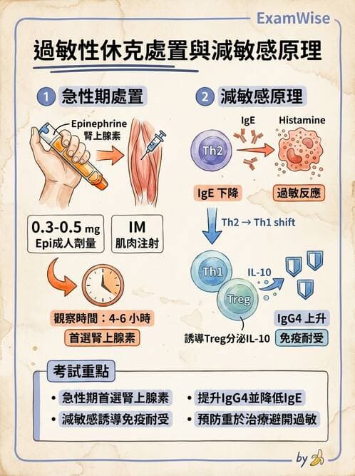 護理師 - 自體免疫疾病與過敏反應 - AI 圖文解析預覽