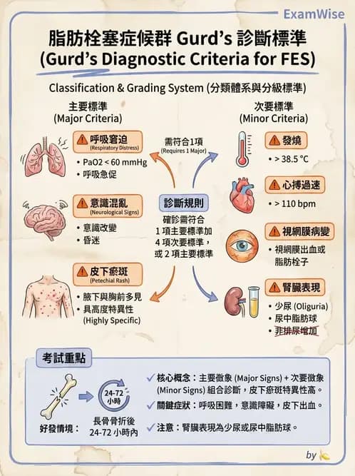 護理師 - 骨折與牽引護理 - AI 圖文解析預覽