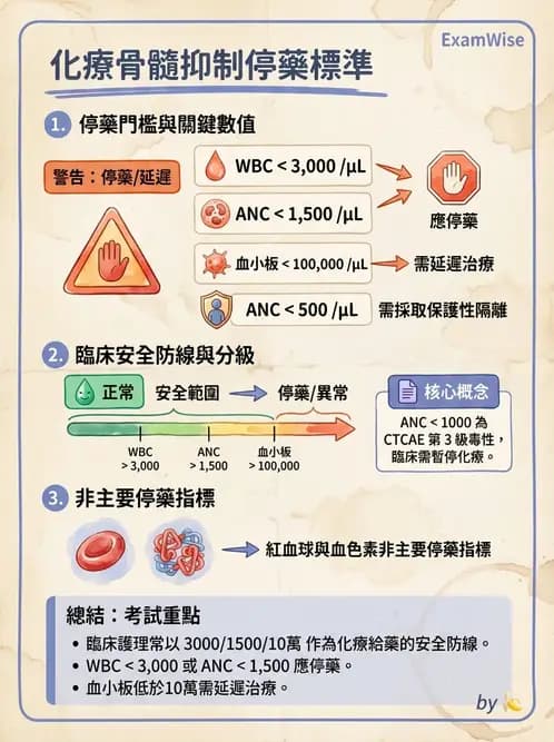 護理師 - 化療護理 - AI 圖文解析預覽
