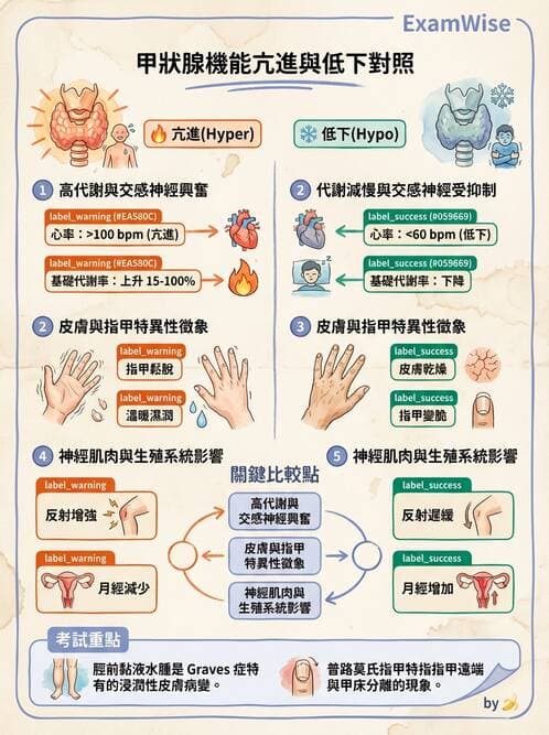 護理師 - 甲狀腺與副甲狀腺疾病 - AI 圖文解析預覽