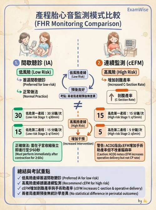 護理師 - 產程機轉與待產護理 - AI 圖文解析預覽