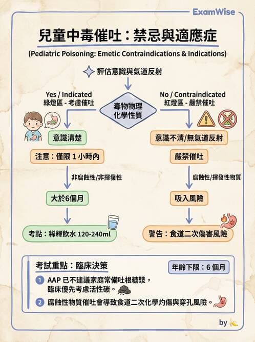 護理師 - 兒童急症與燒傷護理 - AI 圖文解析預覽