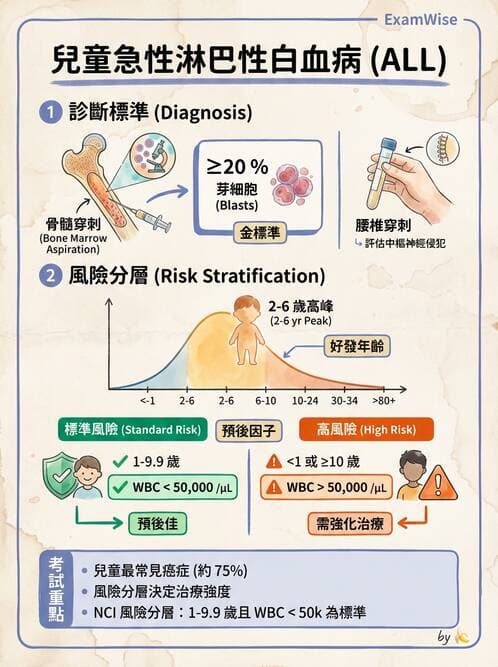 護理師 - 兒童血液與腫瘤疾病 - AI 圖文解析預覽