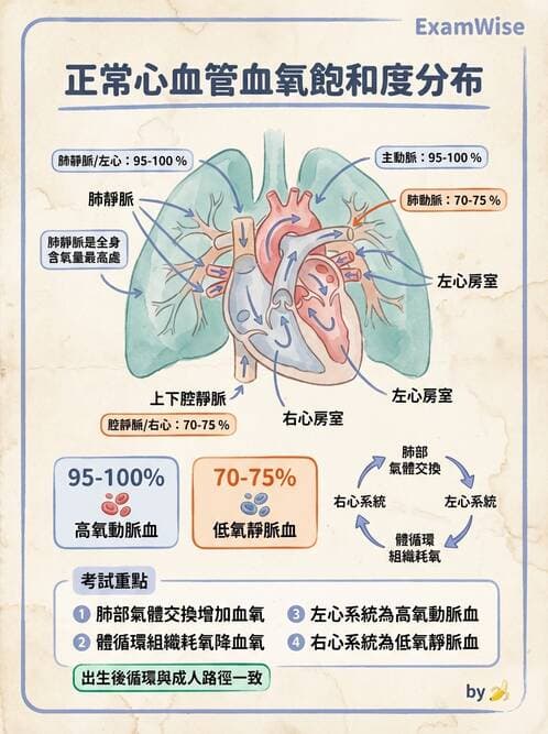 護理師 - 兒童循環系統疾病 - AI 圖文解析預覽