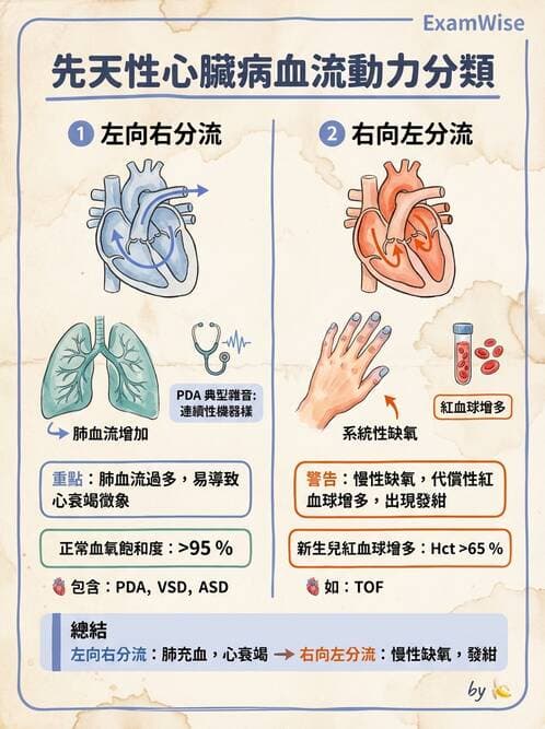 護理師 - 兒童循環系統疾病 - AI 圖文解析預覽