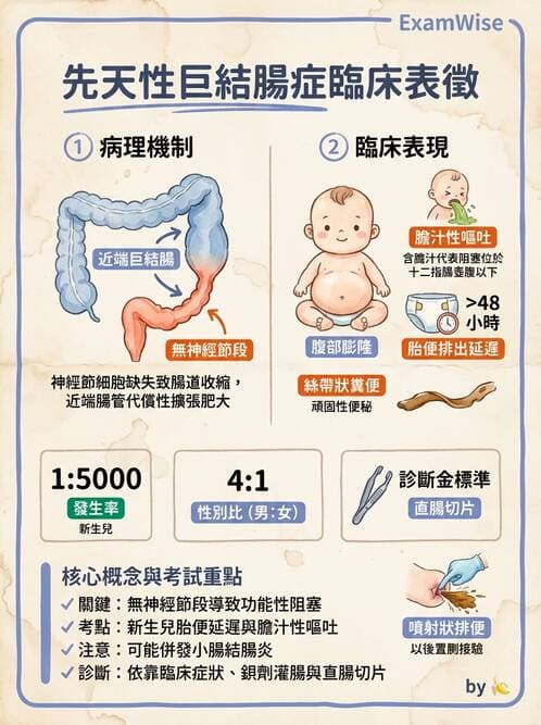 護理師 - 兒童消化系統疾病 - AI 圖文解析預覽