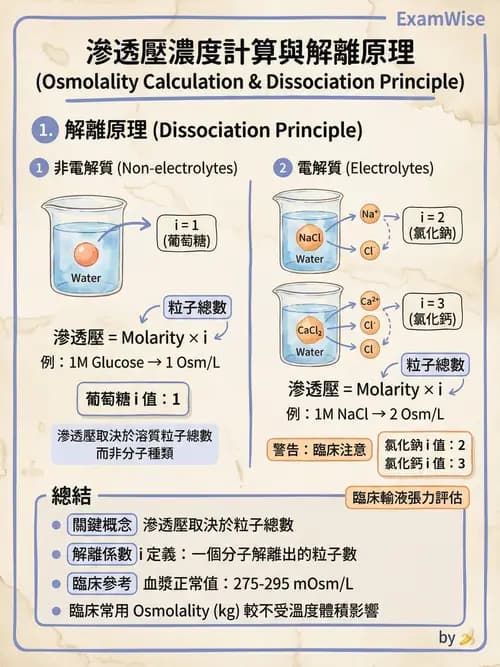 護理師 - 細胞生理 - AI 圖文解析預覽