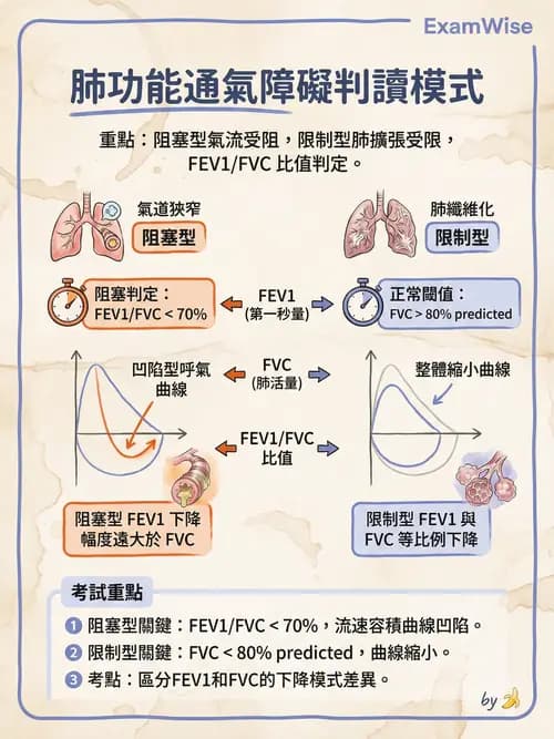護理師 - 呼吸系統 - AI 圖文解析預覽