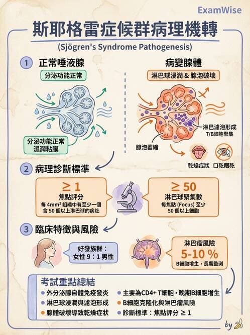 護理師 - 免疫疾病 - AI 圖文解析預覽