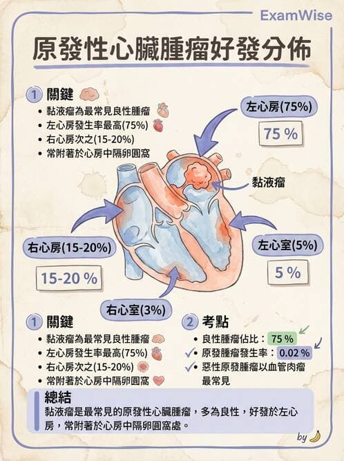 護理師 - 呼吸、循環系統 - AI 圖文解析預覽