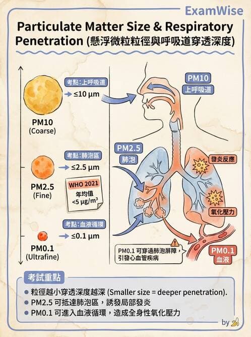 護理師 - 感染及環境疾病 - AI 圖文解析預覽