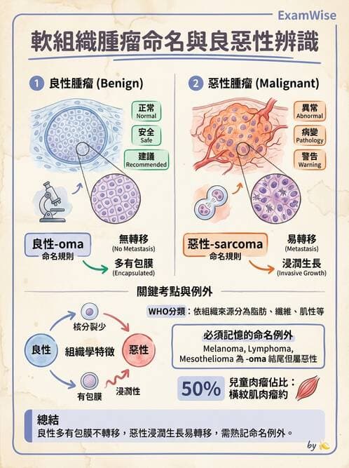 護理師 - 骨骼肌肉系統 - AI 圖文解析預覽