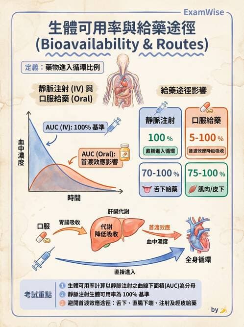 護理師 - 藥理學的一般概念 - AI 圖文解析預覽