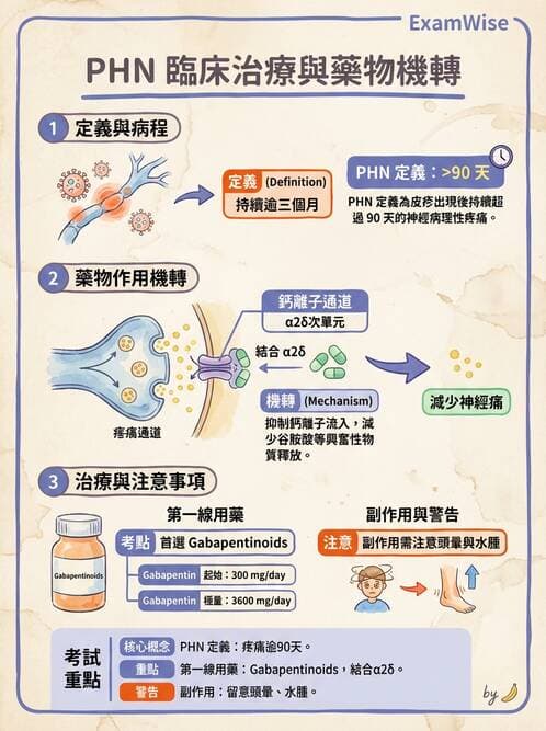 護理師 - 鎮痛、麻醉與神經科藥物 - AI 圖文解析預覽