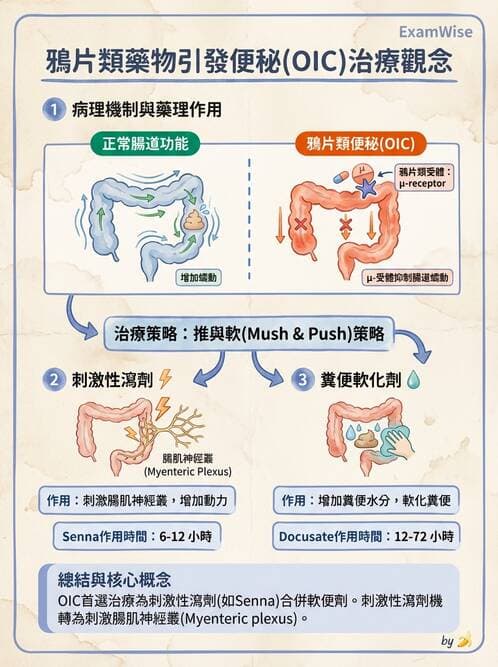 護理師 - 呼吸道及胃腸道作用藥物 - AI 圖文解析預覽