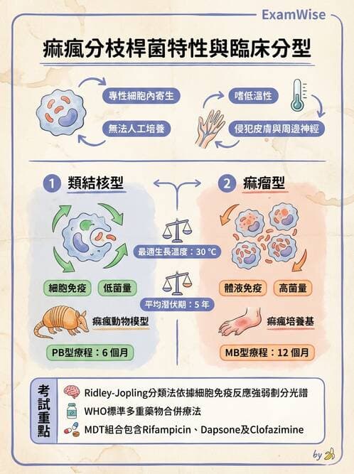 護理師 - 其他細菌 - AI 圖文解析預覽