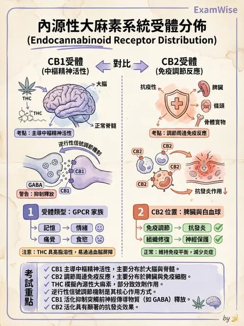 護理師 - 精神科藥物 - AI 圖文解析預覽