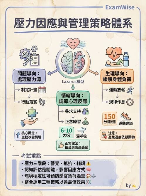 護理師 - 護理理論與專業倫理 - AI 圖文解析預覽