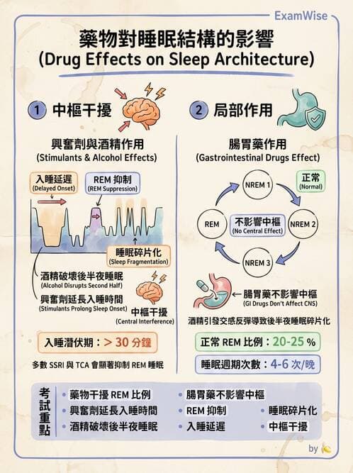 護理師 - 個人衛生與舒適照護 - AI 圖文解析預覽