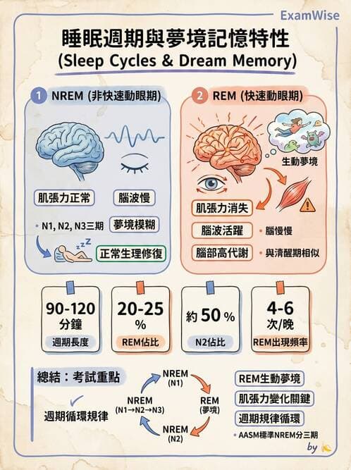 護理師 - 個人衛生與舒適照護 - AI 圖文解析預覽