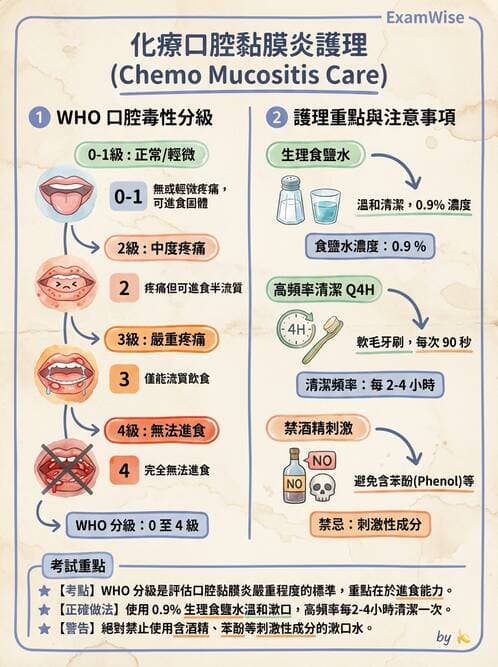 護理師 - 個人衛生與舒適照護 - AI 圖文解析預覽