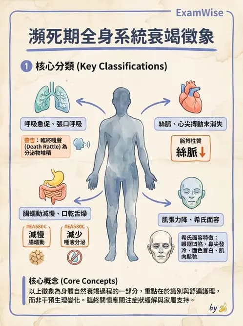 護理師 - 臨終與哀傷護理 - AI 圖文解析預覽