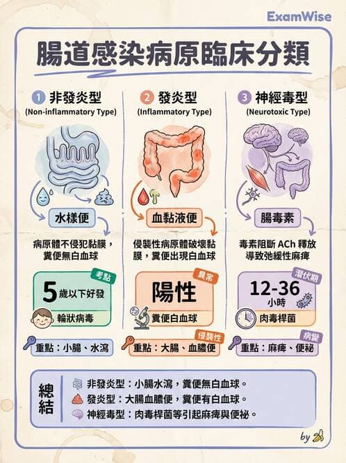 護理師 - 傳染病護理 - AI 圖文解析預覽