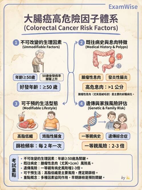 護理師 - 消化系統癌症護理 - AI 圖文解析預覽