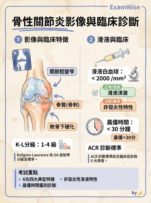 護理師 - 關節疾病與骨科手術 - AI 圖文解析預覽