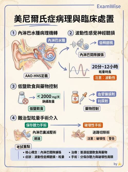 護理師 - 耳鼻喉疾病 - AI 圖文解析預覽