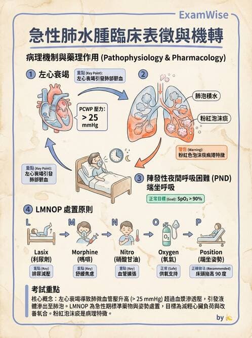 護理師 - 心臟衰竭與心律不整 - AI 圖文解析預覽