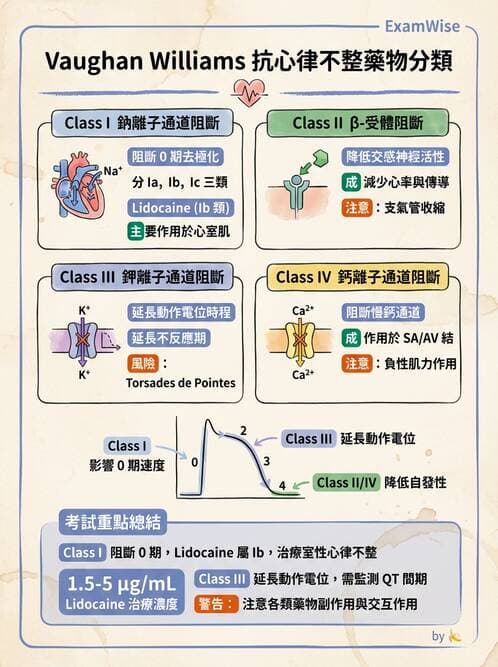 護理師 - 心臟衰竭與心律不整 - AI 圖文解析預覽