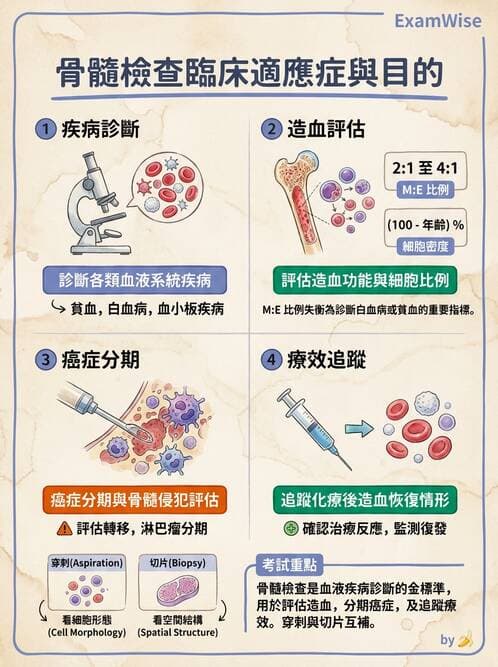 護理師 - 血液腫瘤疾病 - AI 圖文解析預覽
