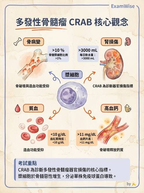 護理師 - 血液腫瘤疾病 - AI 圖文解析預覽