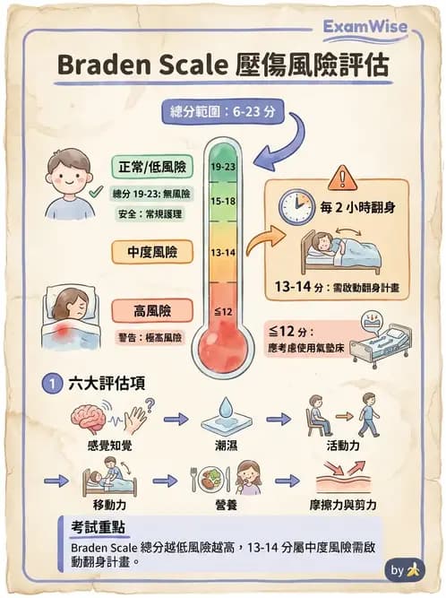 護理師 - 皮膚疾病與傷口護理 - AI 圖文解析預覽