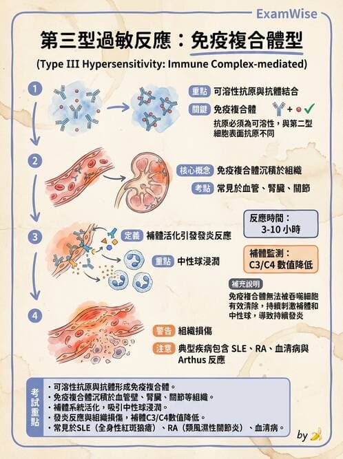 護理師 - 自體免疫疾病與過敏反應 - AI 圖文解析預覽