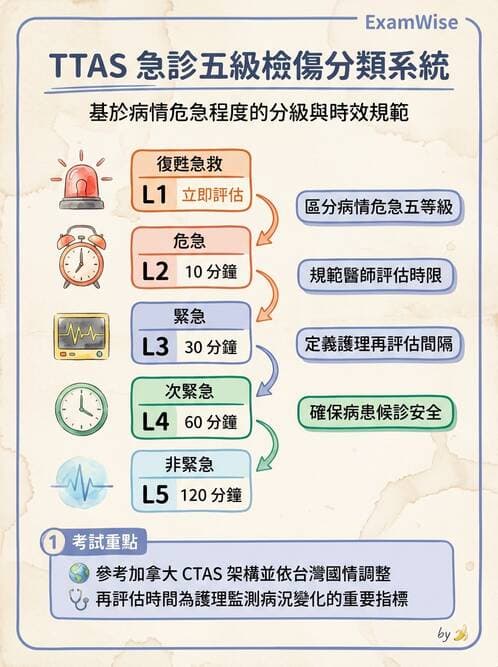 護理師 - 休克與敗血症護理 - AI 圖文解析預覽