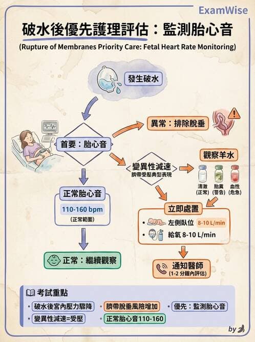 護理師 - 分娩過程與產科急症 - AI 圖文解析預覽